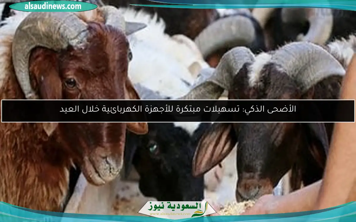 الأضحى الذكي: تسهيلات مبتكرة للأجهزة الكهربائية خلال العيد