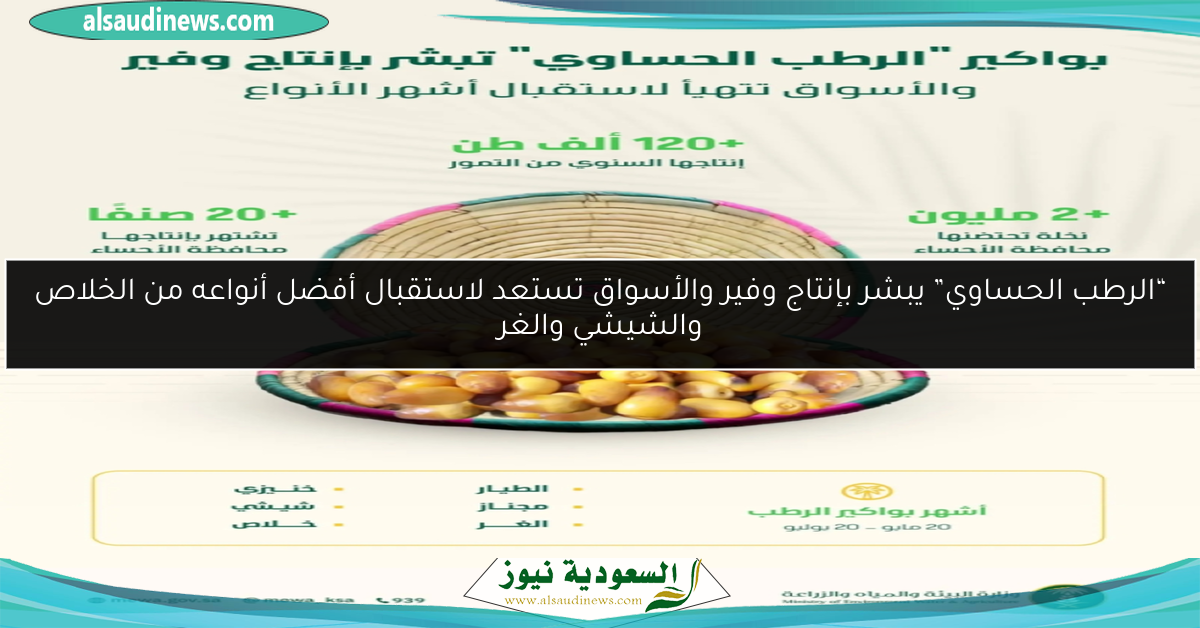 “الرطب الحساوي” يبشر بإنتاج وفير والأسواق تستعد لاستقبال أفضل أنواعه من الخلاص والشيشي والغر