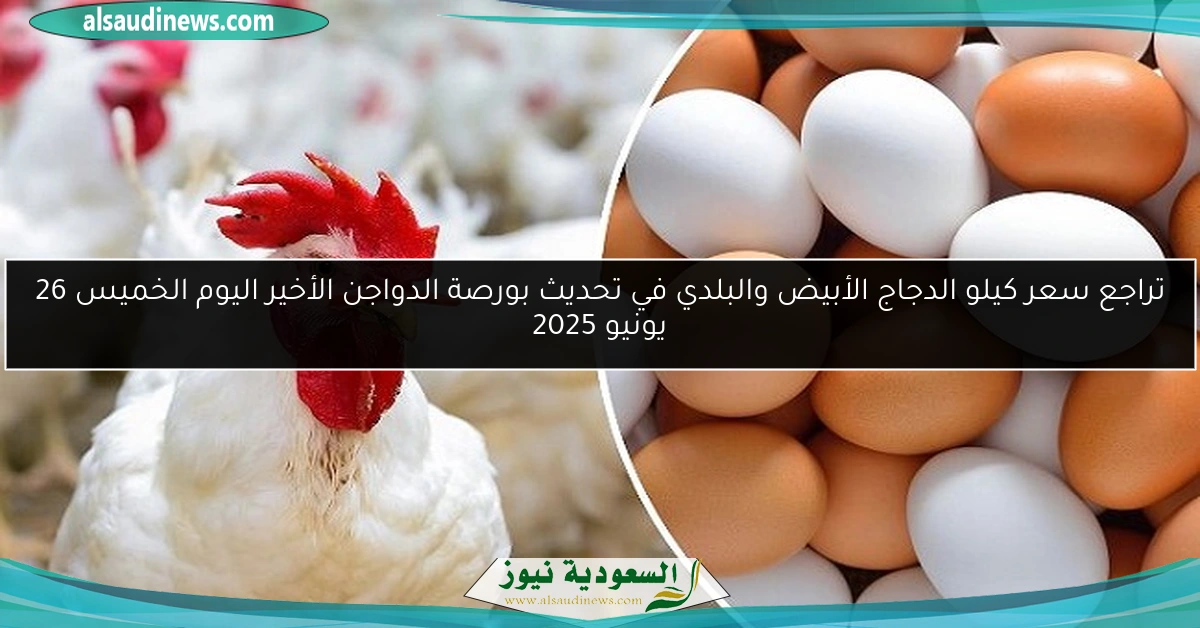 تراجع سعر كيلو الدجاج الأبيض والبلدي في تحديث بورصة الدواجن الأخير اليوم الخميس 26 يونيو 2025