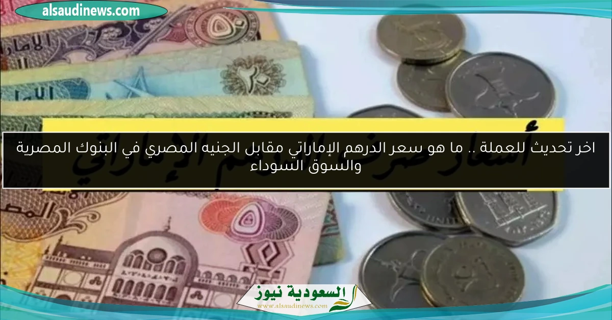 اخر تحديث للعملة .. ما هو سعر الدرهم الإماراتي مقابل الجنيه المصري في البنوك المصرية والسوق السوداء