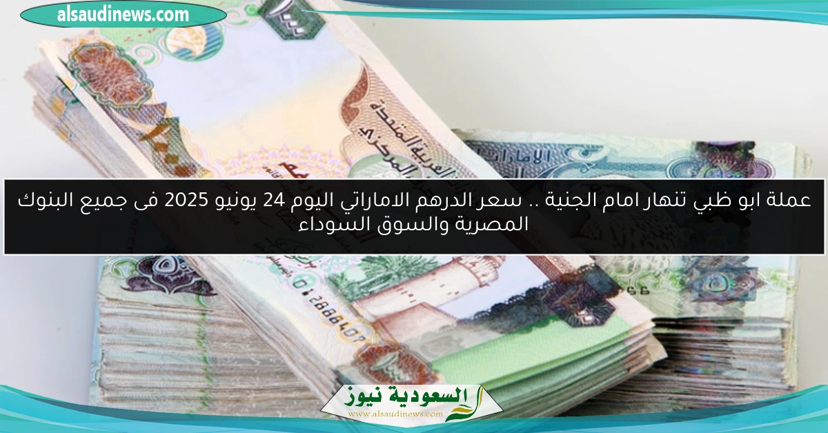 عملة ابو ظبي تنهار امام الجنية .. سعر الدرهم الاماراتي اليوم 24 يونيو 2025 فى جميع البنوك المصرية والسوق السوداء