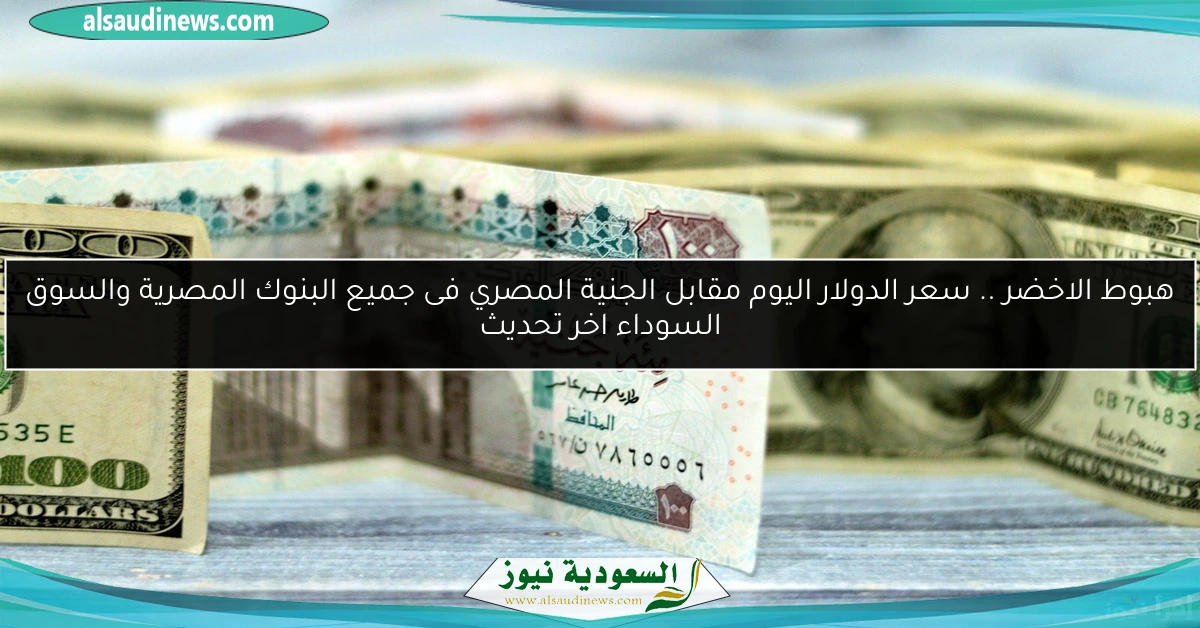 هبوط الاخضر .. سعر الدولار اليوم مقابل الجنية المصري فى جميع البنوك المصرية والسوق السوداء اخر تحديث