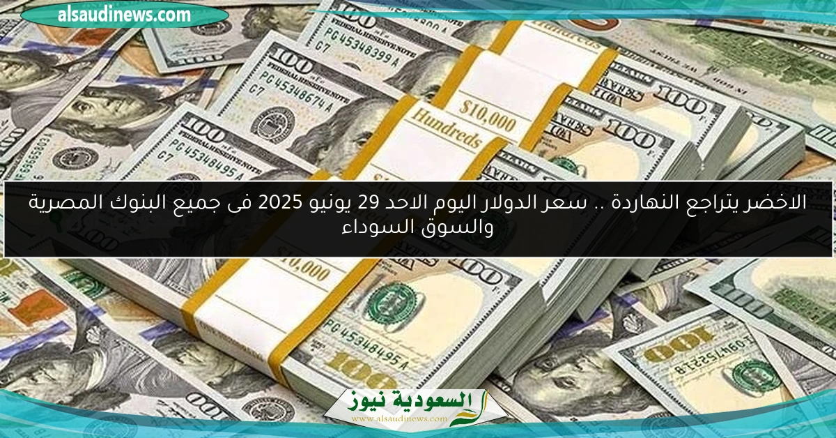 الاخضر يتراجع النهاردة .. سعر الدولار اليوم الاحد 29 يونيو 2025 فى جميع البنوك المصرية والسوق السوداء