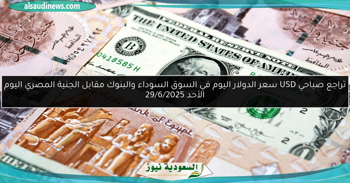 تراجع صباحي USD سعر الدولار اليوم في السوق السوداء والبنوك مقابل الجنية المصري اليوم الأحد 29/6/2025