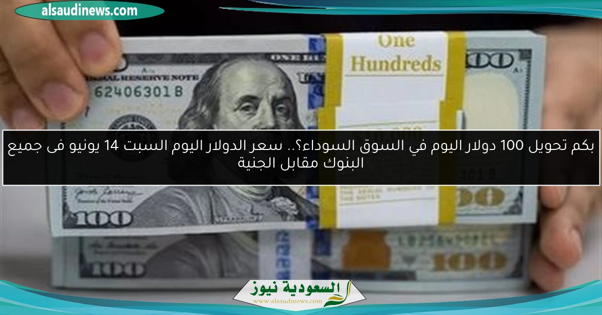 بكم تحويل 100 دولار اليوم في السوق السوداء؟.. سعر الدولار اليوم السبت 14 يونيو فى جميع البنوك مقابل الجنية