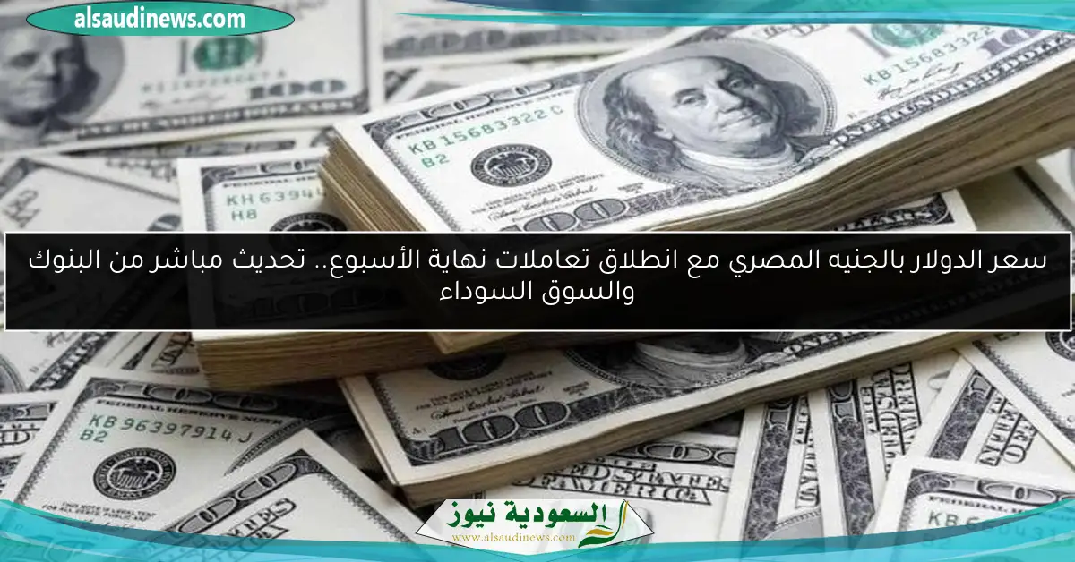 سعر الدولار بالجنيه المصري مع انطلاق تعاملات نهاية الأسبوع.. تحديث مباشر من البنوك والسوق السوداء