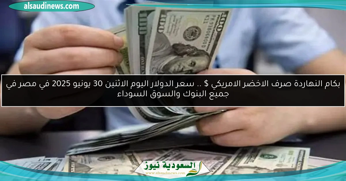 بكام النهاردة صرف الاخضر الامريكي $ .. سعر الدولار اليوم الاثنين 30 يونيو 2025 في مصر في جميع البنوك والسوق السوداء