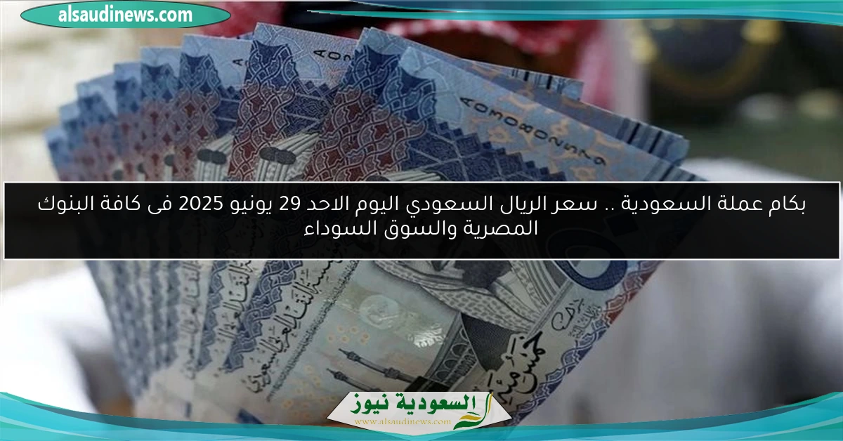 بكام عملة السعودية .. سعر الريال السعودي اليوم الاحد 29 يونيو 2025 فى كافة البنوك المصرية والسوق السوداء