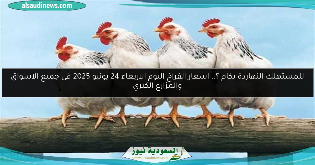 للمستهلك النهاردة بكام ؟.. اسعار الفراخ اليوم الاربعاء 24 يونيو 2025 فى جميع الاسواق والمزارع الكبري
