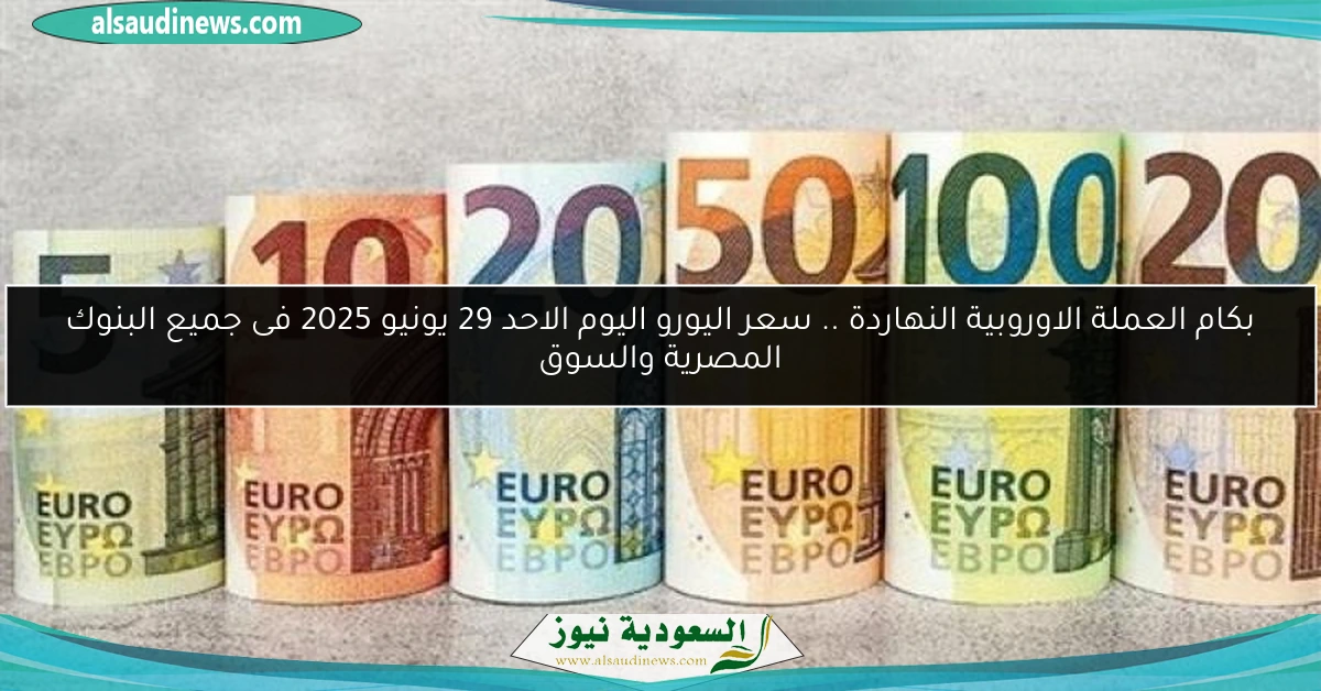 بكام العملة الاوروبية النهاردة .. سعر اليورو اليوم الاحد 29 يونيو 2025 فى جميع البنوك المصرية والسوق
