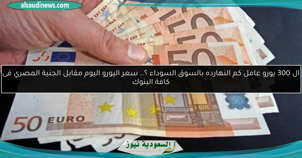 ال 300 يورو عامل كم النهارده بالسوق السوداء ؟.. سعر اليورو اليوم مقابل الجنية المصري فى كافة البنوك