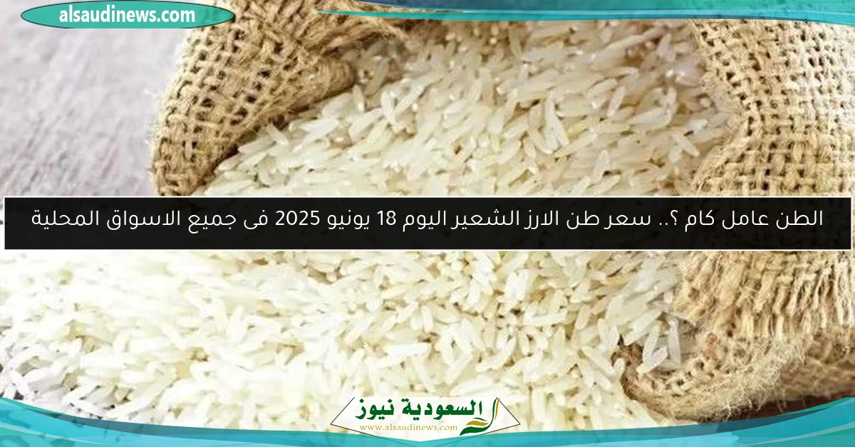 الطن عامل كام ؟.. سعر طن الارز الشعير اليوم 18 يونيو 2025 فى جميع الاسواق المحلية