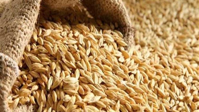 عريض ورفيع الحبة .. سعر طن الأرز الشعير اليوم السبت 28 يونيو 2025 فى جميع الاسواق المصرية اخر تحديث