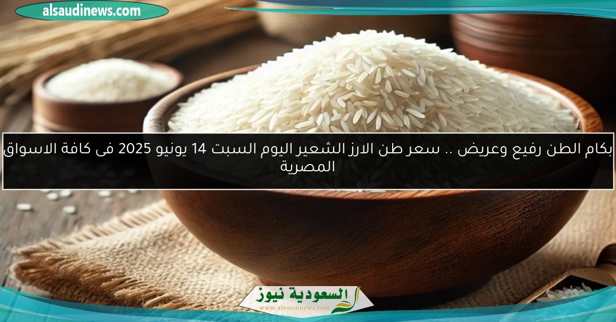 بكام الطن رفيع وعريض .. سعر طن الارز الشعير اليوم السبت 14 يونيو 2025 فى كافة الاسواق المصرية
