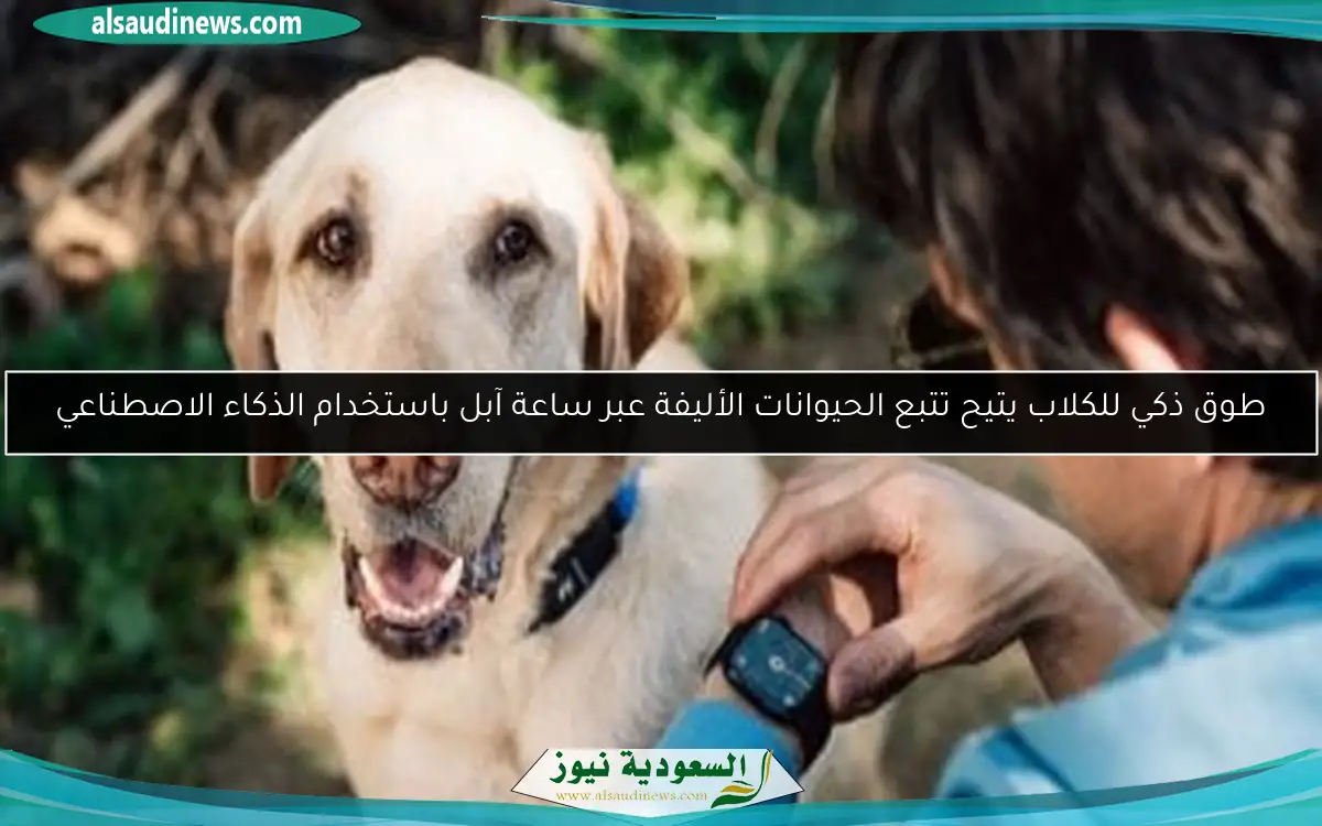 طوق ذكي للكلاب يتيح تتبع الحيوانات الأليفة عبر ساعة آبل باستخدام الذكاء الاصطناعي