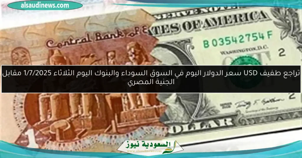سعر الدولار بالجنية اليوم