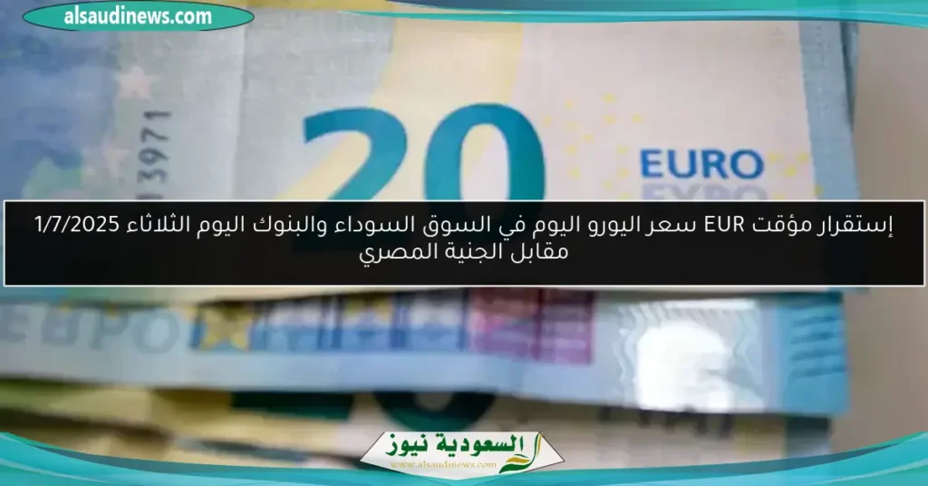 سعر اليورو اليوم بالجنيه
