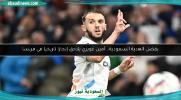 100 182810 saudi gift amine gouiri frensh 700x400
