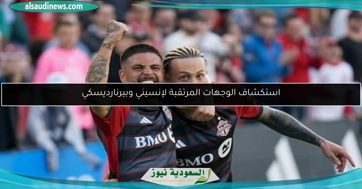 استكشاف الوجهات المرتقبة لإنسيني وبيرنارديسكي