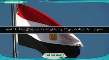 17261590740