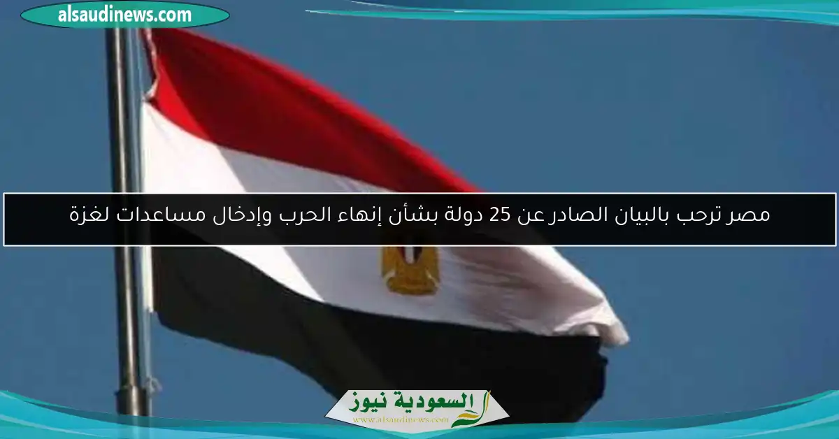 مصر ترحب بالبيان الصادر عن 25 دولة بشأن إنهاء الحرب وإدخال مساعدات لغزة