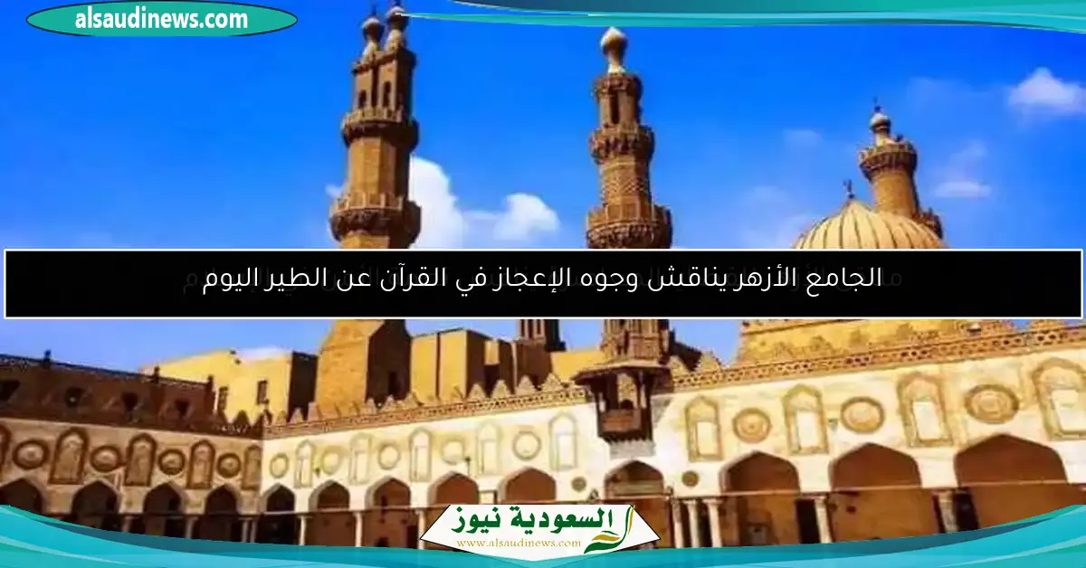 الجامع الأزهر يناقش وجوه الإعجاز في القرآن عن الطير اليوم