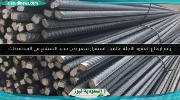 17454809360