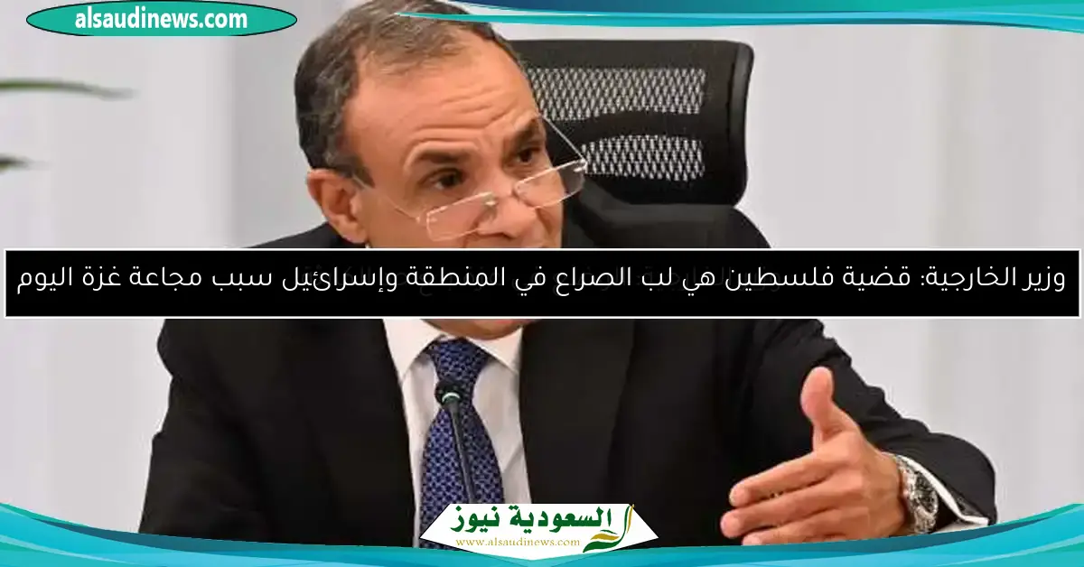 وزير الخارجية: الوضع في غزة بلغ حد الكارثة