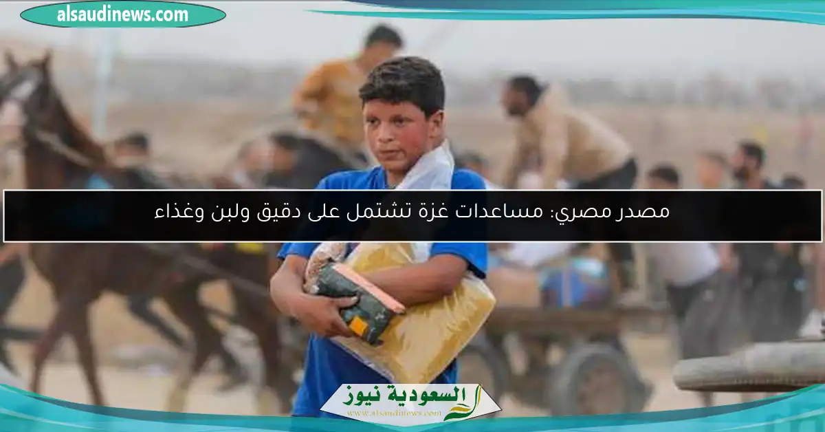 مصدر مصري: مساعدات غزة تشتمل على دقيق ولبن وغذاء