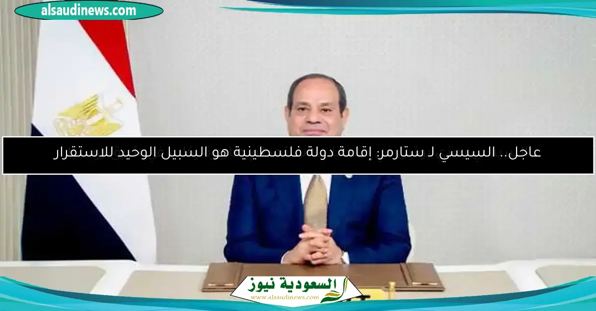 عاجل.. السيسي لـ ستارمر: إقامة دولة فلسطينية هو السبيل الوحيد للاستقرار