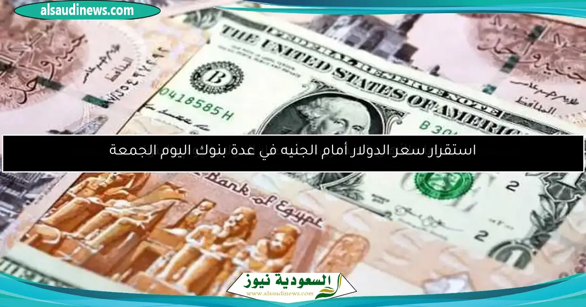 منها «الأهلى المصرى».. أسعار الدولار اليوم بالبنوك