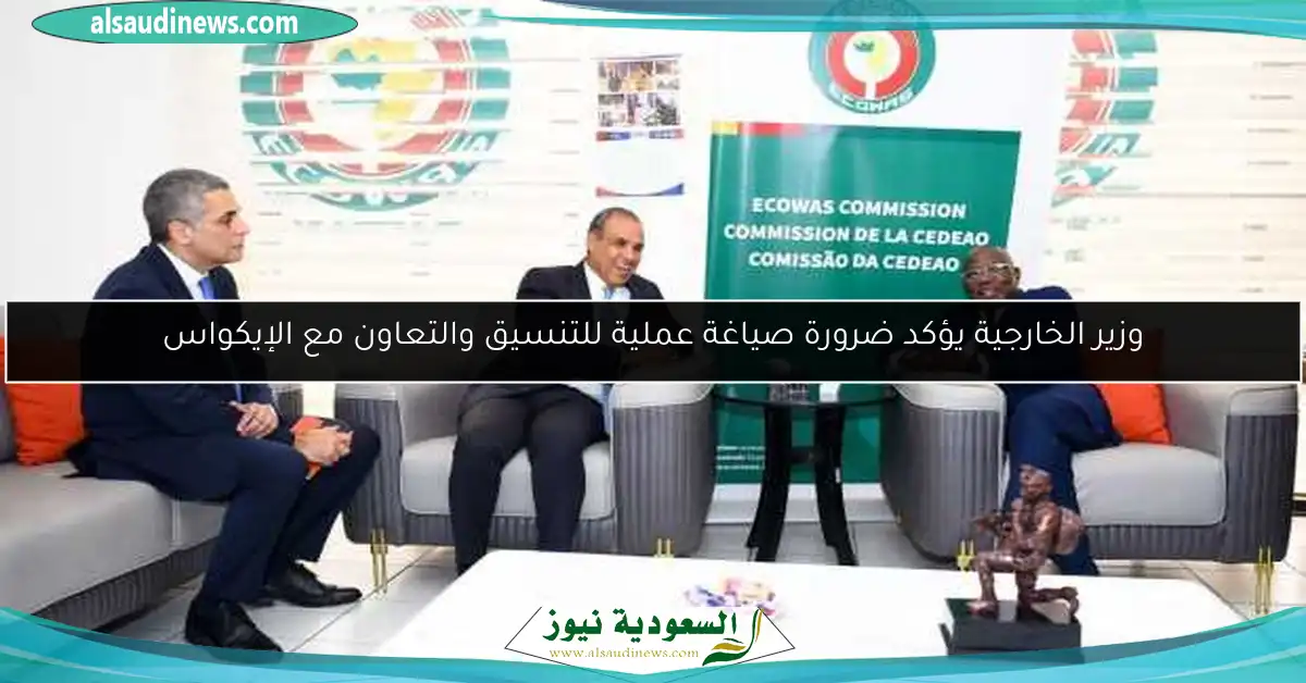 وزير الخارجية يؤكد ضرورة صياغة عملية للتنسيق والتعاون مع الإيكواس