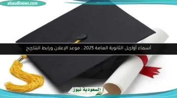 17531664900