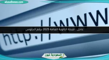 17532008780