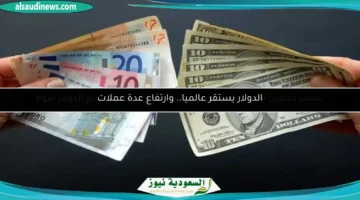 17533388850