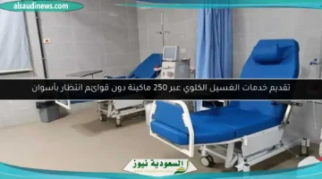 17534288044