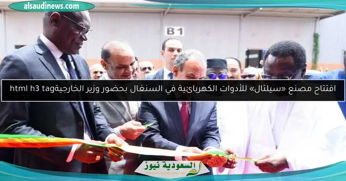 افتتاح مصنع «سيلتال» للأدوات الكهربائية في السنغال بحضور وزير الخارجيةhtml h3 tag