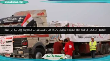 17536895602