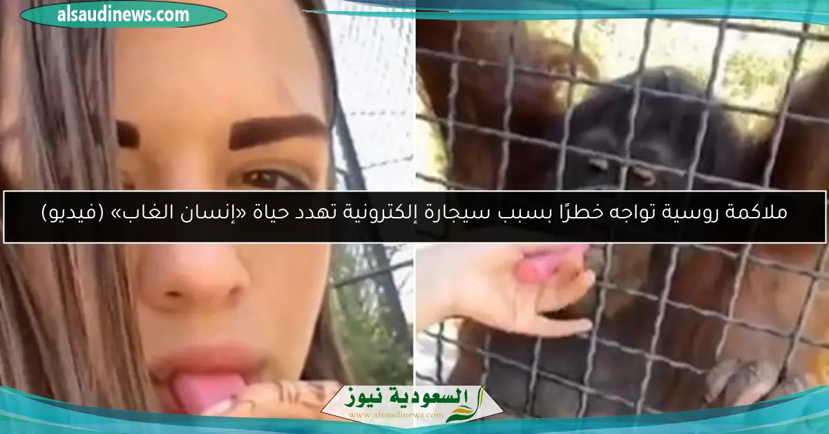 ملاكمة روسية تواجه خطرًا بسبب سيجارة إلكترونية تهدد حياة «إنسان الغاب» (فيديو)