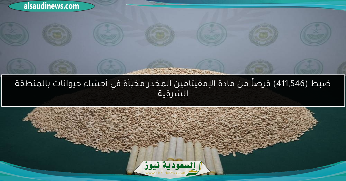 ضبط (411,546) قرصاً من مادة الإمفيتامين المخدر مخبأة في أحشاء حيوانات بالمنطقة الشرقية