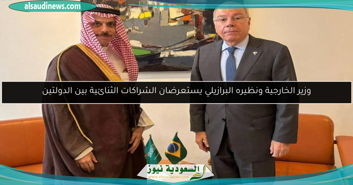وزير الخارجية ونظيره البرازيلي يستعرضان الشراكات الثنائية بين الدولتين