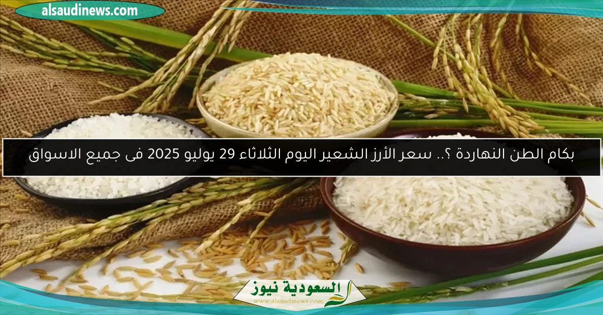بكام الطن النهاردة ؟.. سعر الأرز الشعير اليوم الثلاثاء 29 يوليو 2025 فى جميع الاسواق