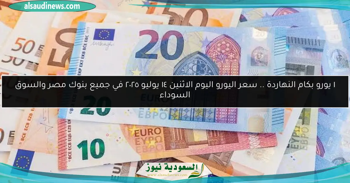 ١ يورو بكام النهاردة .. سعر اليورو اليوم الاثنين ١٤ يوليو ٢٠٢٥ في جميع بنوك مصر والسوق السوداء