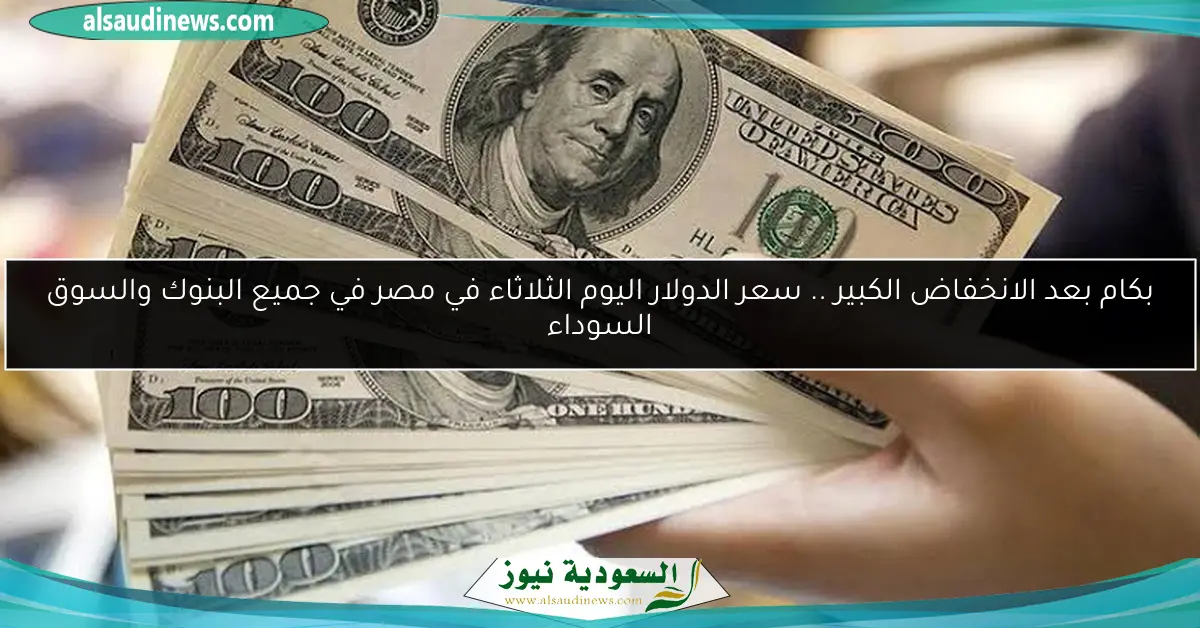 بكام بعد الانخفاض الكبير .. سعر الدولار اليوم الثلاثاء في مصر في جميع البنوك والسوق السوداء