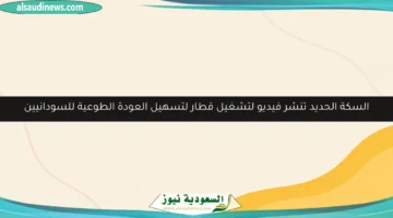 bg template5 156