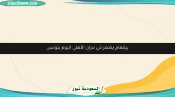 bg template5 230