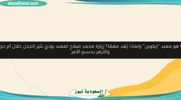 bg template5 469