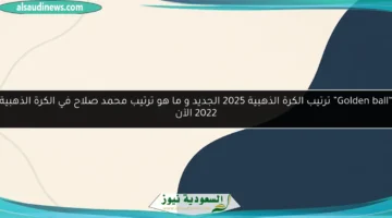 bg template6 83