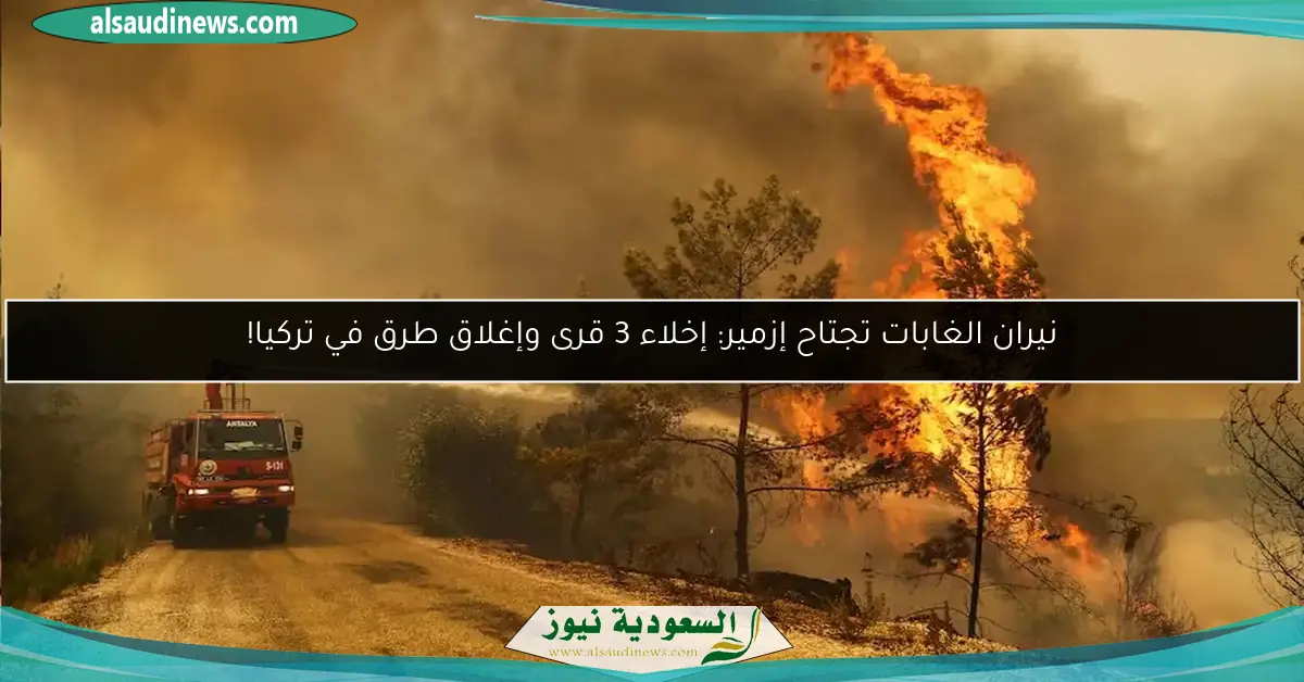 نيران الغابات تجتاح إزمير: إخلاء 3 قرى وإغلاق طرق في تركيا!
