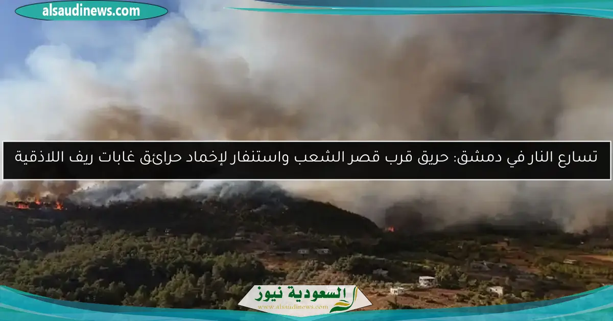 تسارع النار في دمشق: حريق قرب قصر الشعب واستنفار لإخماد حرائق غابات ريف اللاذقية